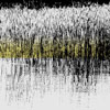 Reeds with Yellow Line